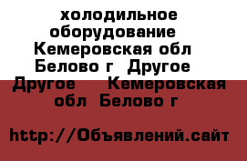 холодильное оборудование - Кемеровская обл., Белово г. Другое » Другое   . Кемеровская обл.,Белово г.